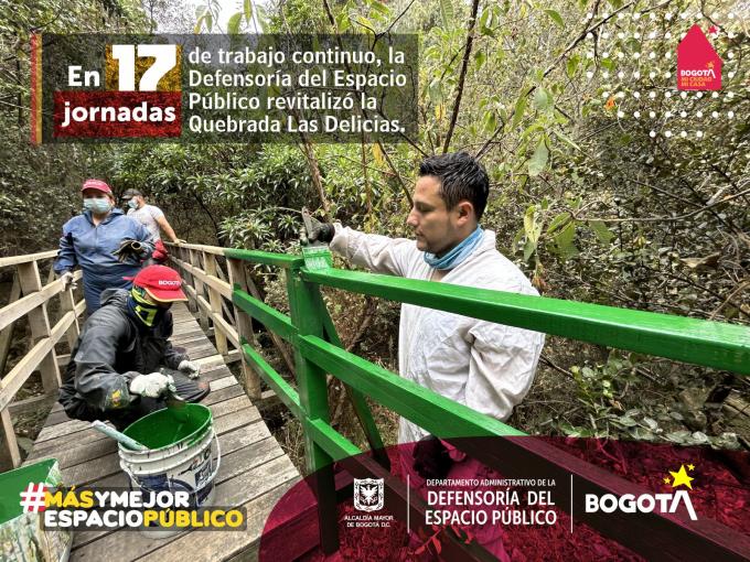 En 17 jornadas de trabajo continuo, Defensoría del Espacio Público revitalizó la Quebrada Las Delicias