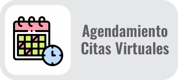 agendamiento