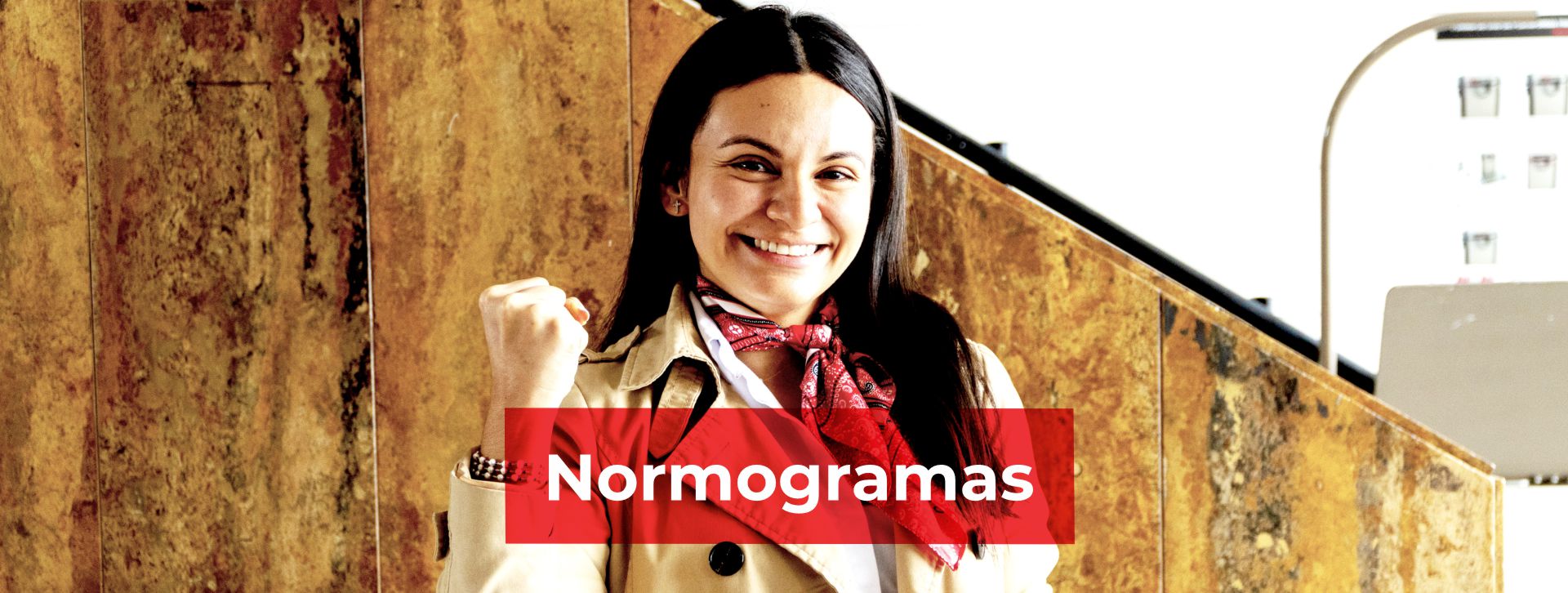 banner normogramas